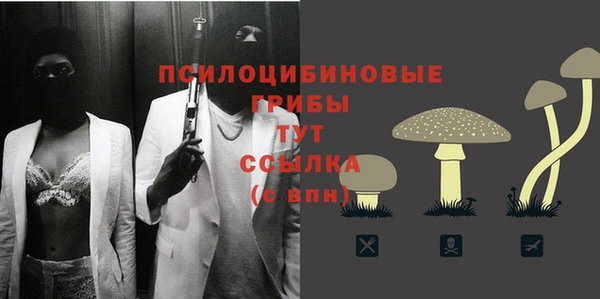 прущие крисы Баксан