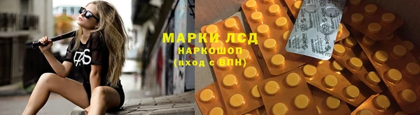 прущие крисы Баксан